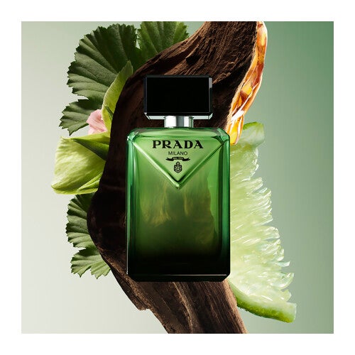 Prada Paradigme