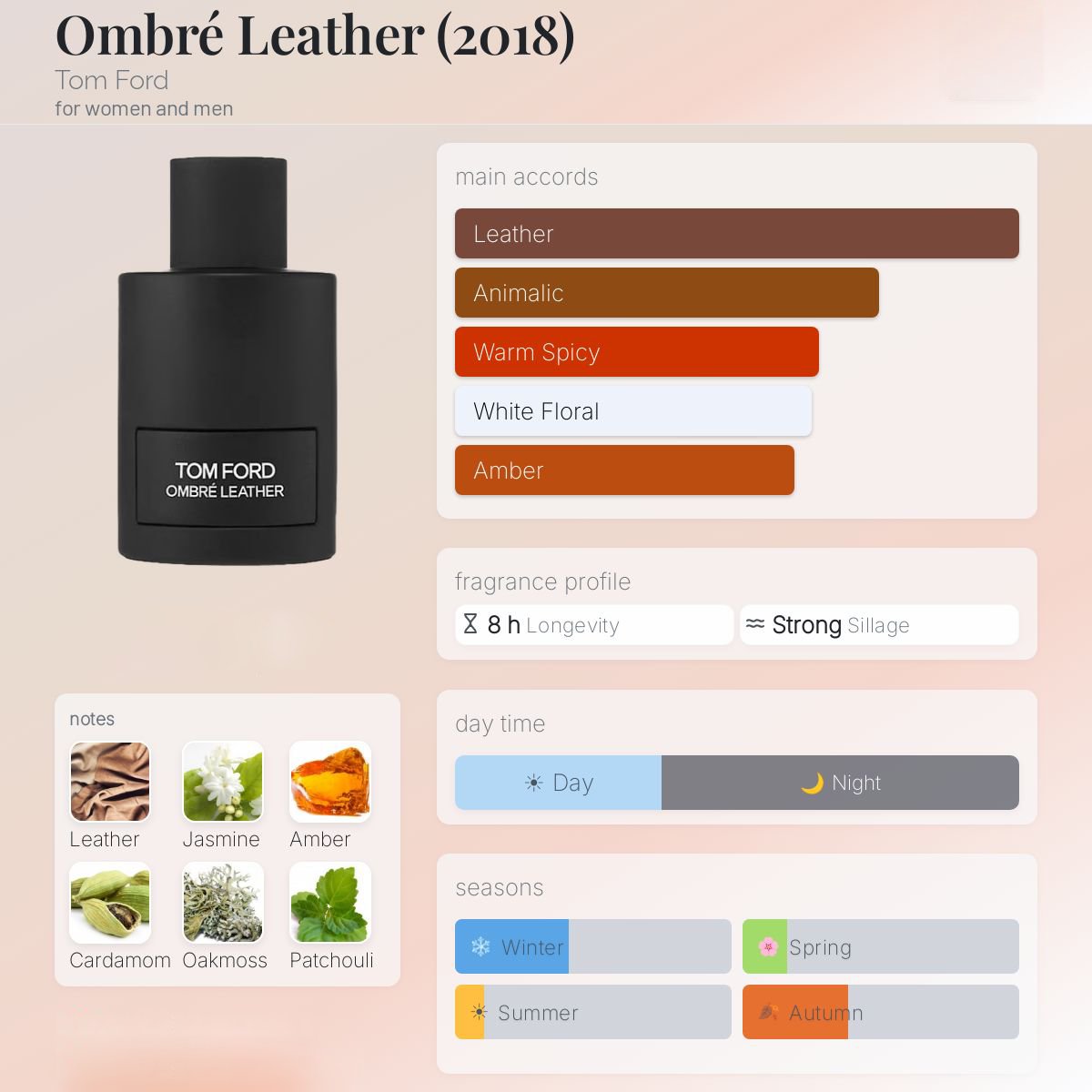 Tom Ford Ombre Leather